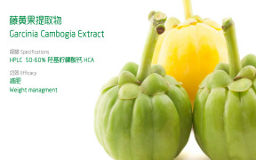 Garcinia Cambogia Extract