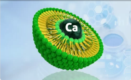 Liposomal Calcium