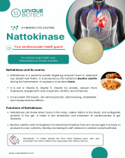 Nattokinase