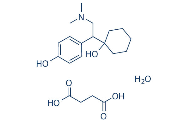 DESVENLAFAXINE SUCCINATE