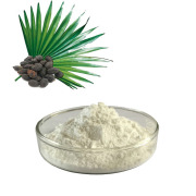 Saw Palmetto Extract