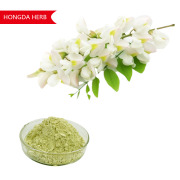 Sophora Japonica Extract Rutin 95%