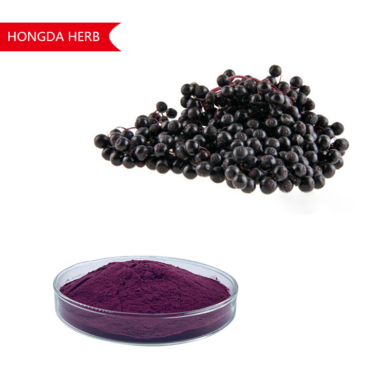 Elderberry Extract