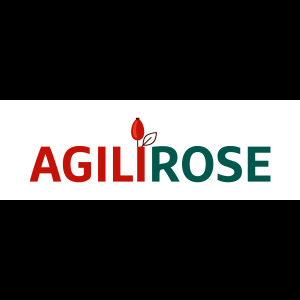 AGILIROSE - Rose Hips (Rosa Ssp.)