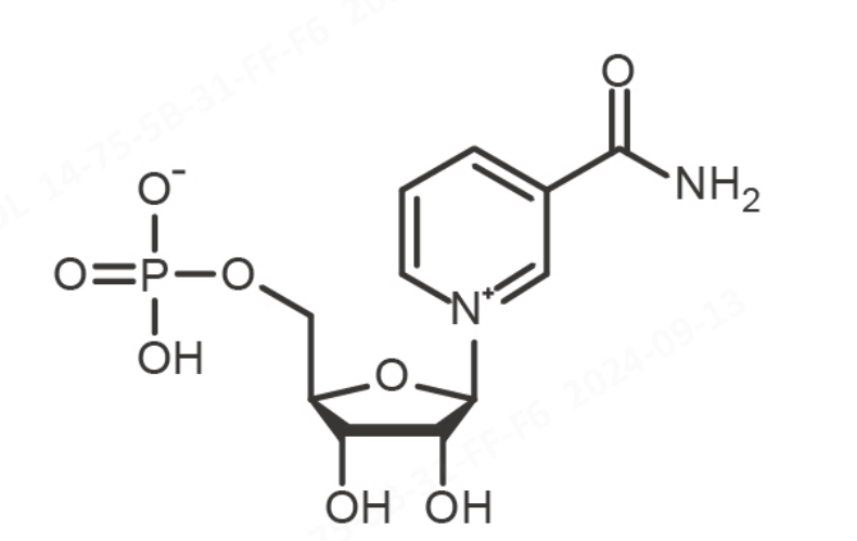 β-Nicotinamide mononucleotide (NMN)