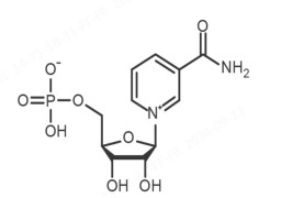 β-Nicotinamide mononucleotide (NMN)