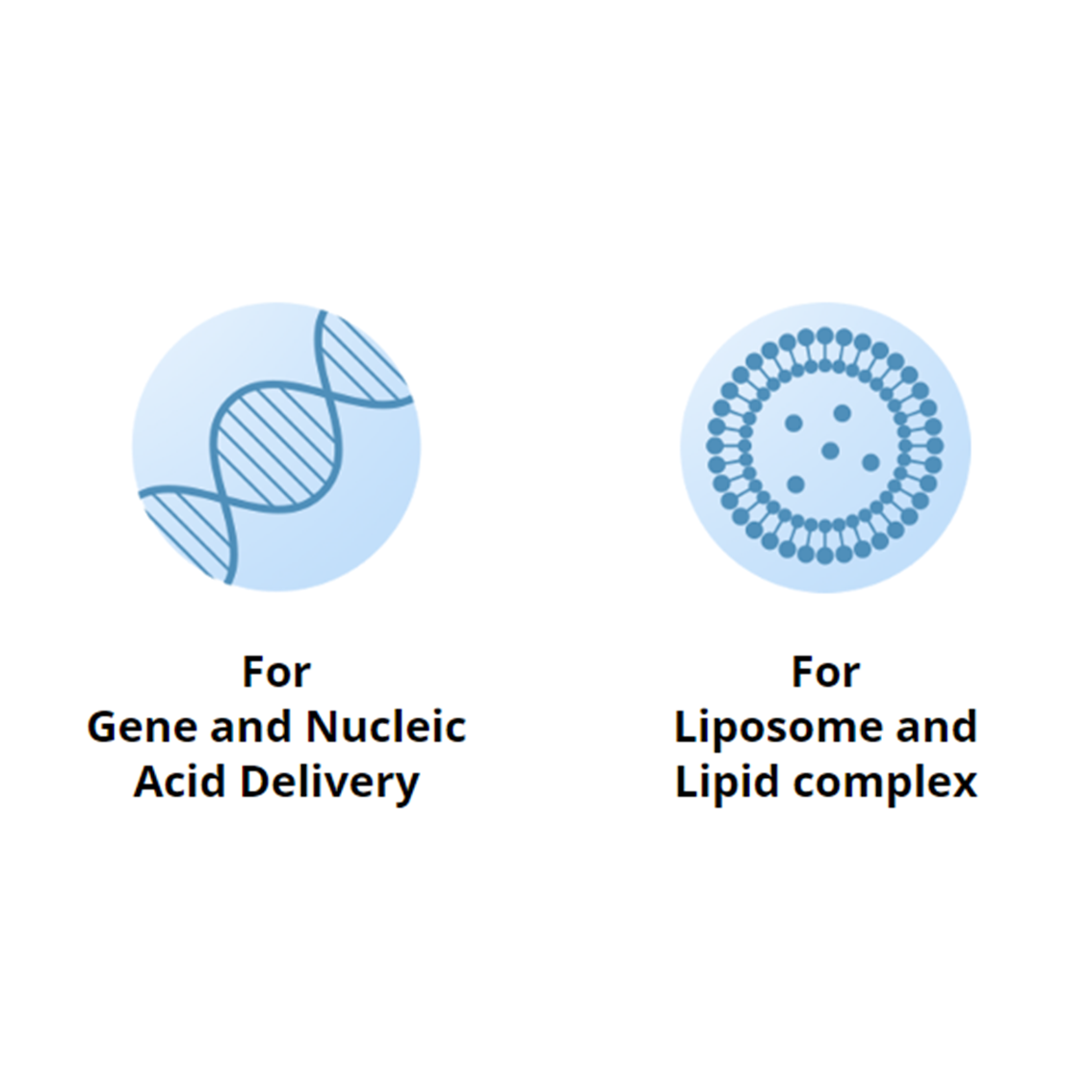 Phospholipids and Lipids for LNP and Liposome