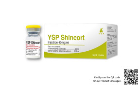 YSP Shincort Injection 40mg/ml
