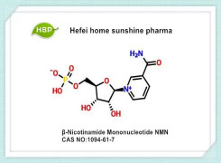 β-Nicotinamide Mononucleotide NMN Beta CAS 1094-61-7