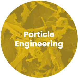 Particle Engineering & Pre-Formulation