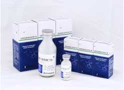 Imipenem for injection  1.0g&0.5g/vial