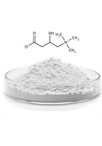 L-Carnitine Fumarate INH