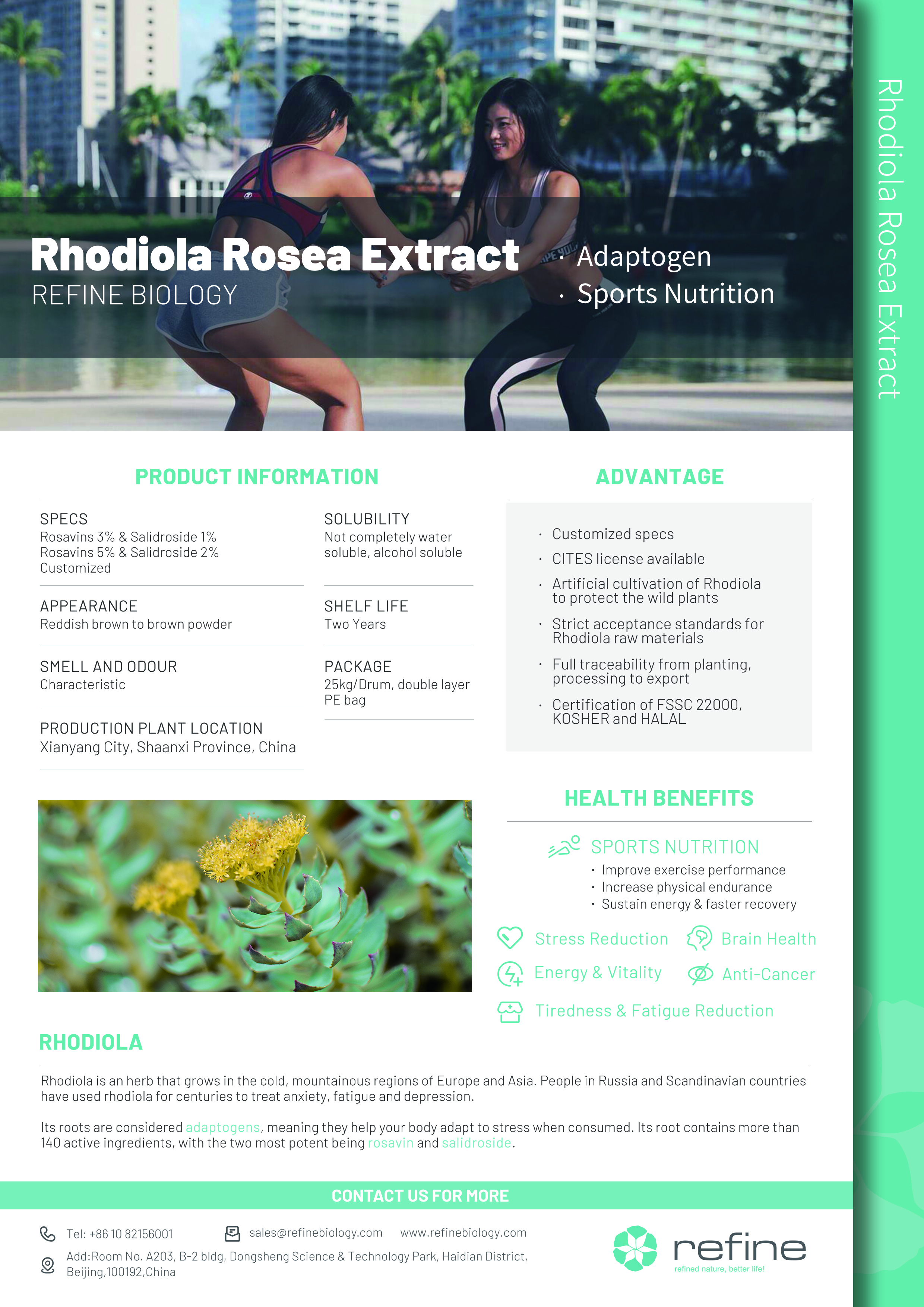 Rhodiola Rosea Extract