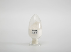 Acid Lactase (β-galactosidase) 100,000 ALU/g Powder