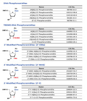 Phosphoramidites