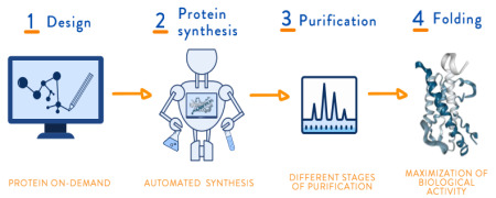 Biologics Chemical Synthesis : Proteins, Peptides and Antibodies