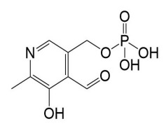 Pyridoxal 5'-phosphate monohydrate