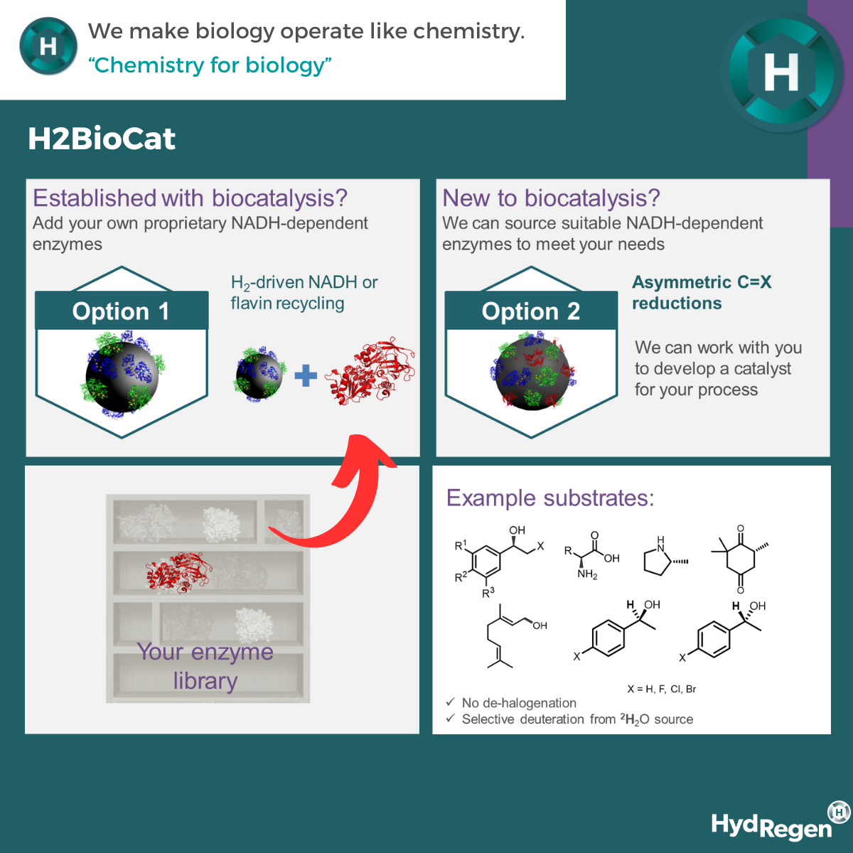 H2BioCat: asymmetric reductions