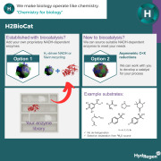 H2BioCat: asymmetric reductions