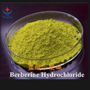 BERBERINE HYDROCHLORIDE