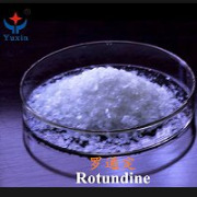 ROTUNDINE