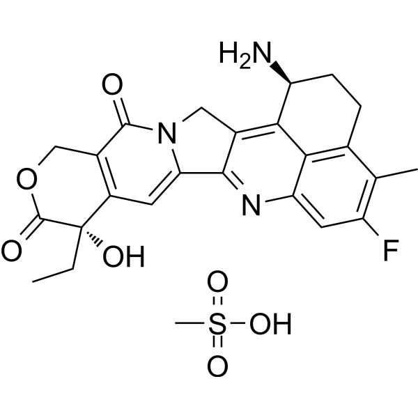 Exatecan Mesylate