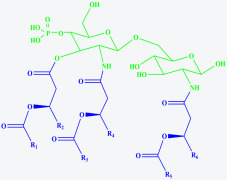 MPLA (Monophosphoryl Lipid A)