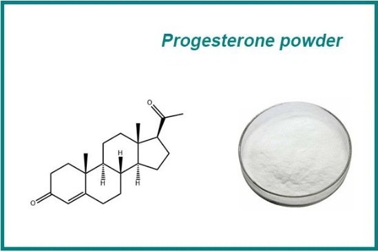 progesterone