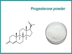 progesterone