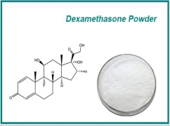 Dexamethasone powder