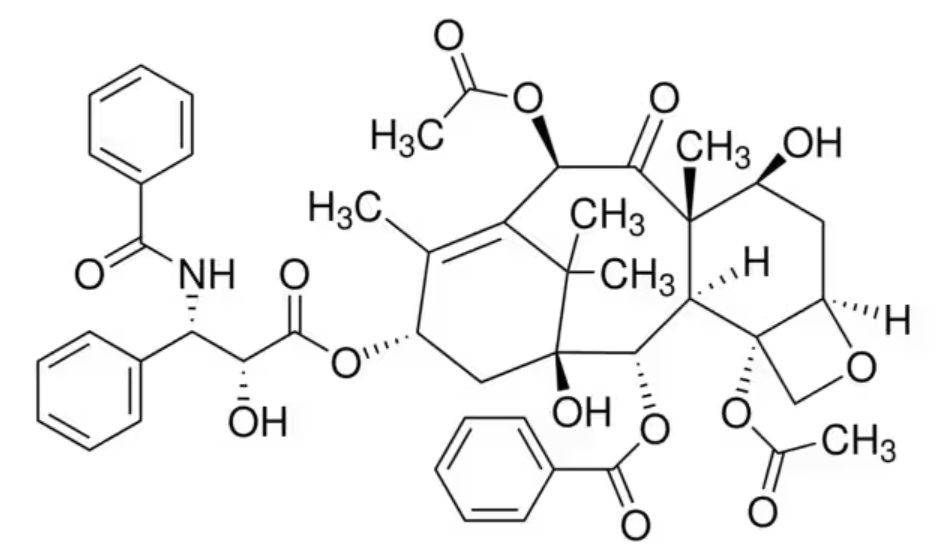 Paclitaxel