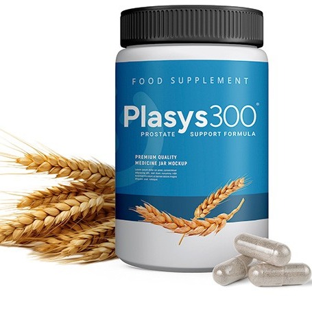 Plasys300