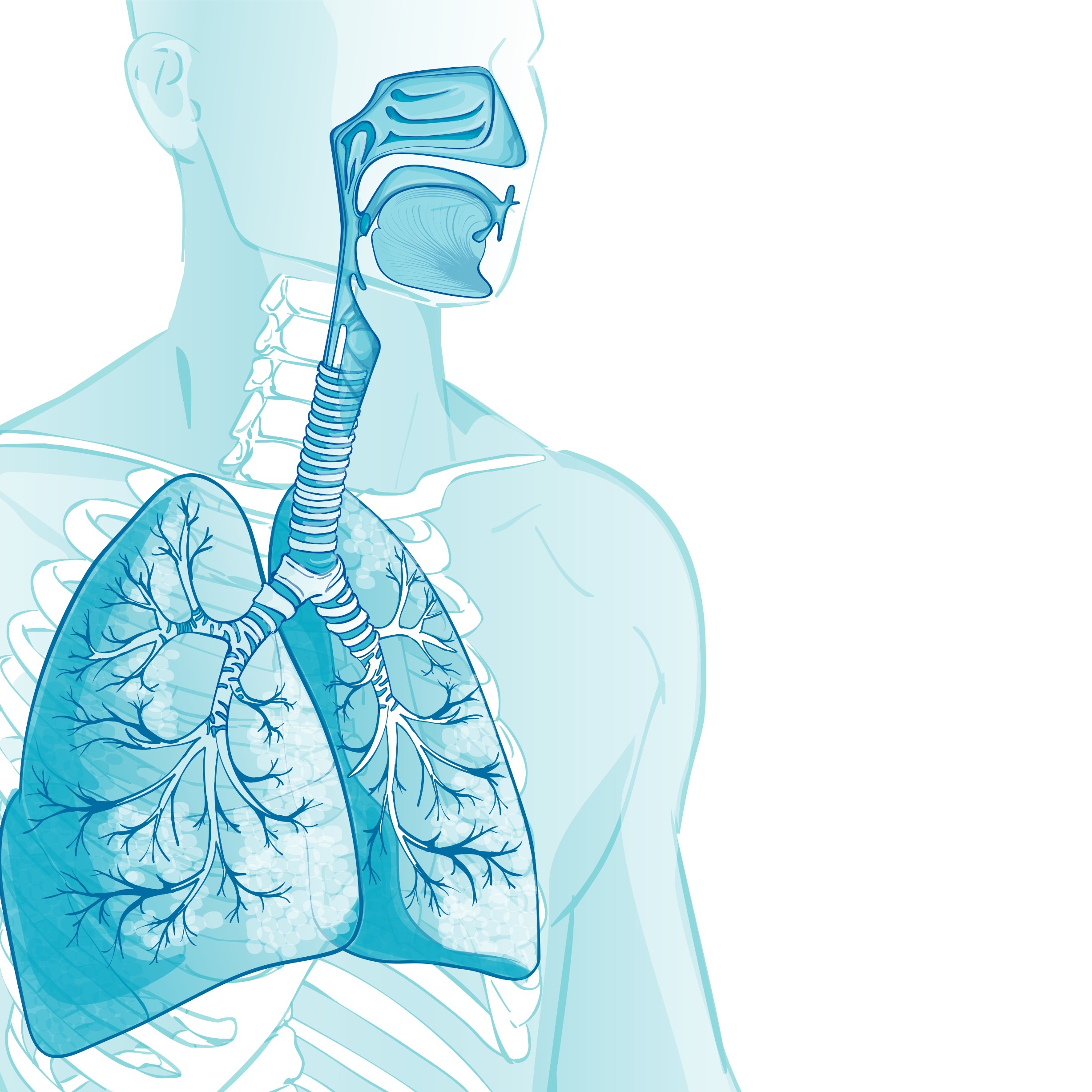 Pulmonary and Nasal