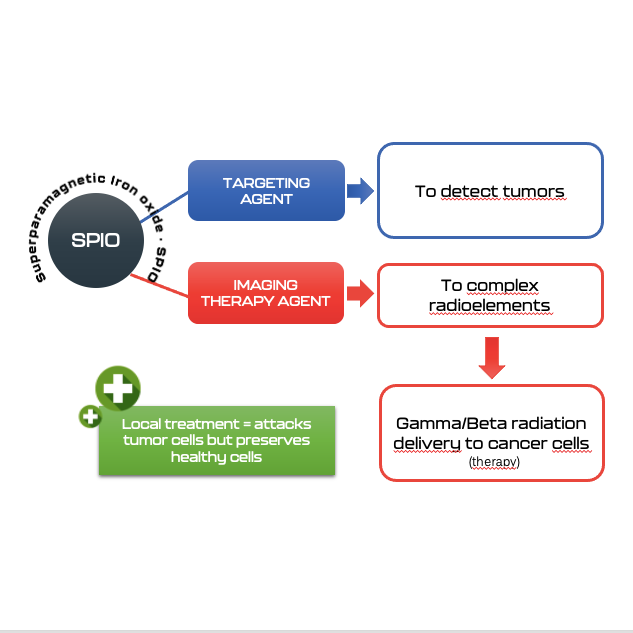 Multifunctionalized nanomaterials