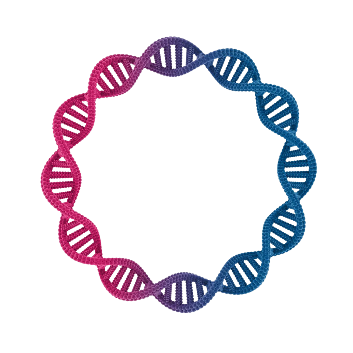 Plasmid DNA