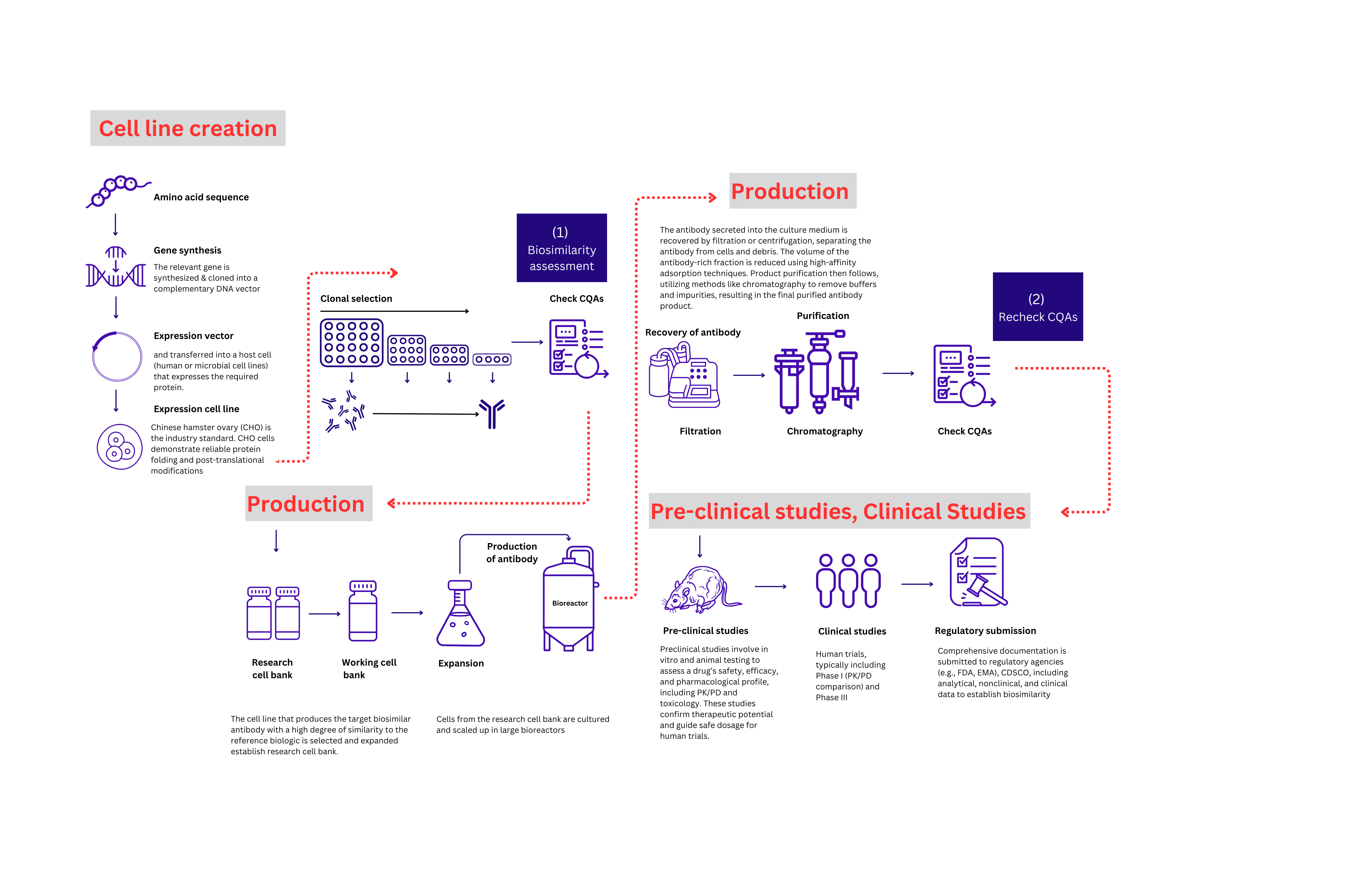 Biosimilar Clone Development Service