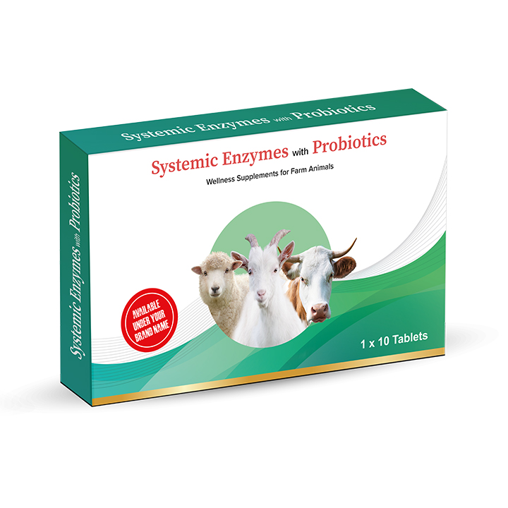 Systemic Enzymes with Probiotics