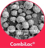 CombiLac - co-processed Excipient