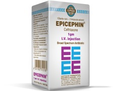 EPICOCILLIN ®(Ampicillin)