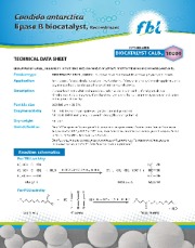 Candida antarctica lipase B Biocatalyst Recombinant  (Biocatalyst  CALB TA 1000 )