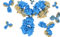 Protein or Biologics Higher Order Structure Analysis