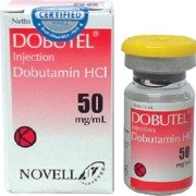 Dobutel