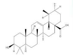 Ursolic Acid