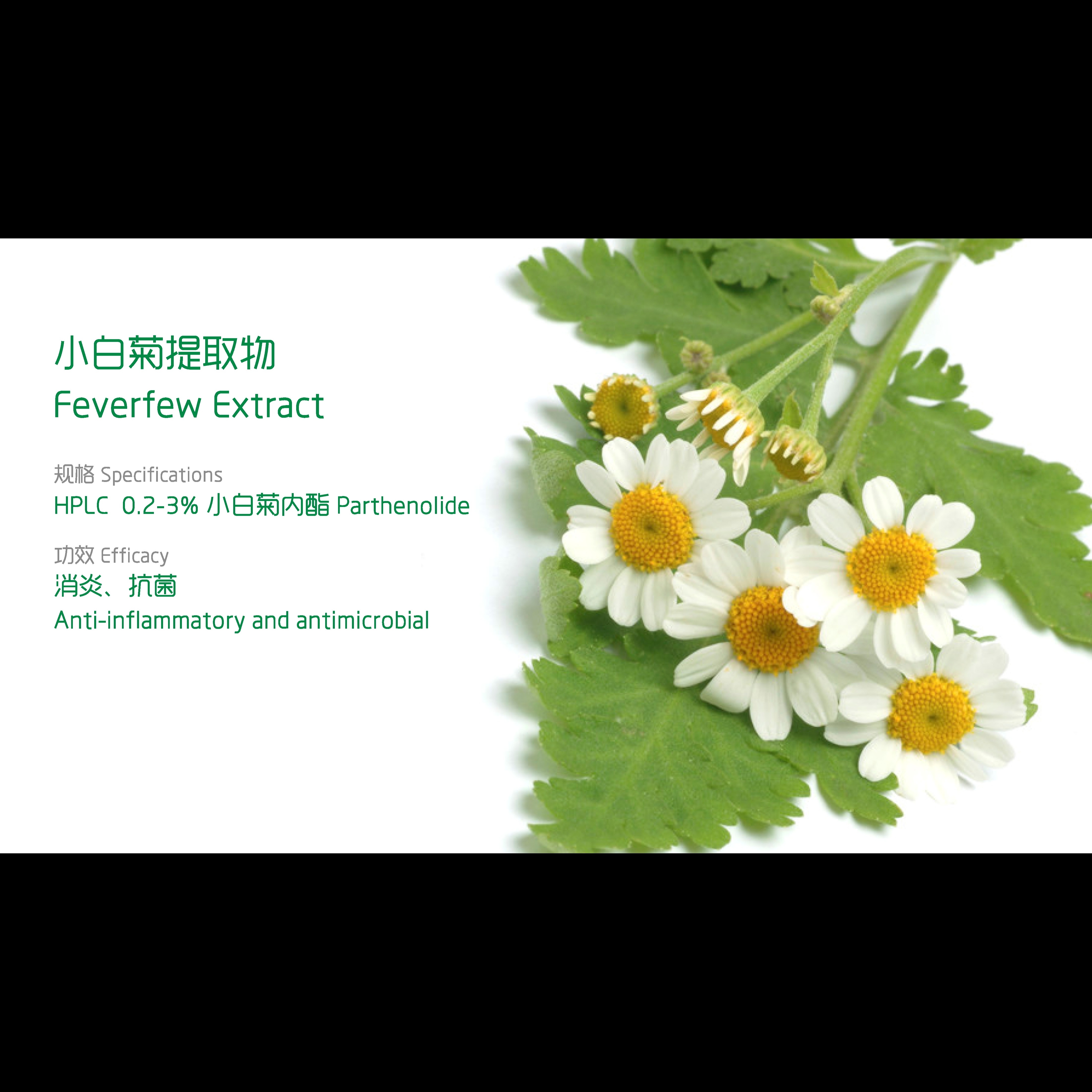 Feverfew Extract