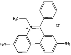 Homedium Chloride