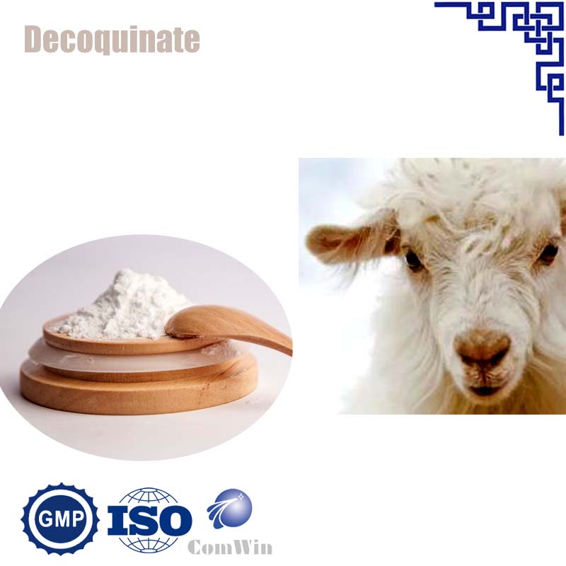 Decoquinate