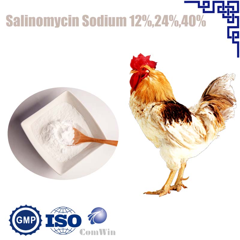 Salinomycin Sodium 12%,24%,40%