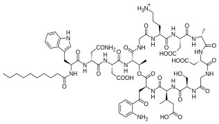 Daptomycin