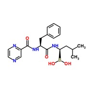 Bortezomib