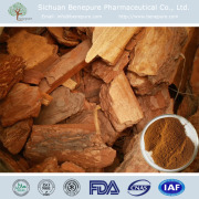 Pine Bark Extract Powder Anthocyanins 95%